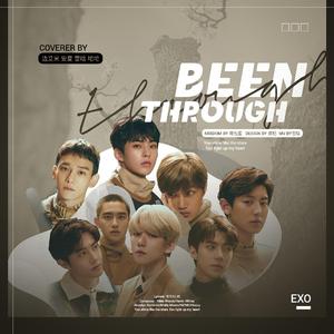 顺其自然（Been Though）