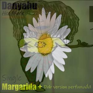 Margarida dub perfumada