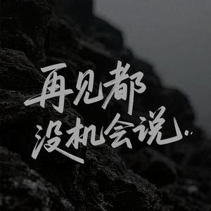 再见都没机会说（深情版）