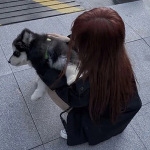 seni ailen bile dinlemiyor