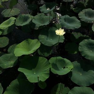 我再也没有对你生气