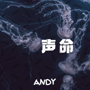 声命