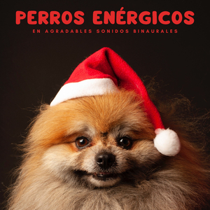 Resonancia Positiva En Las Patas