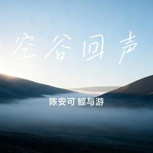 空谷回声