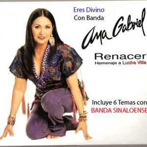 Amaneci En Tus Brazos