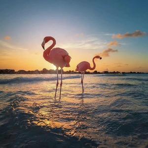 未闻花名（prod by sun beat）