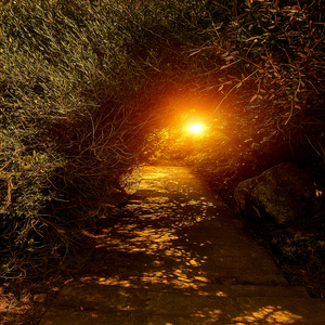 Ensemble impunément