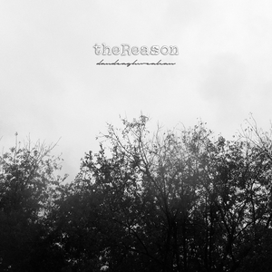 theReason