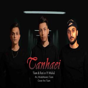 Tanhaei (feat. Wahid)