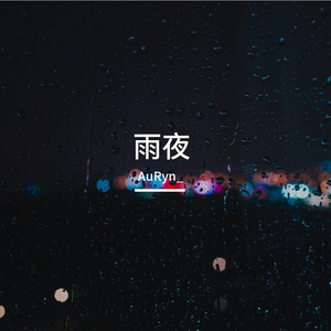 雨夜