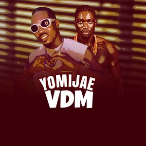 VDM