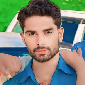 पुलिस की गाड़ी आव घरा डेली की डेली