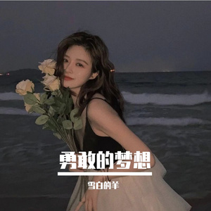 勇敢的梦想 伴奏