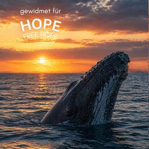 FREE HOPE