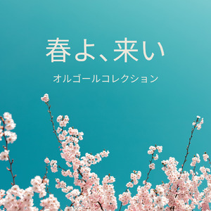 恋人がサンタクロース (I Love BGM Lab Music Box Cover)