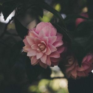 Oversea (feat. Lusah)