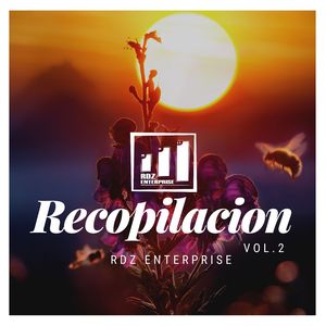 Lucha por Tus Sueños