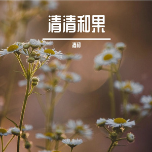 盗将行-清和版
