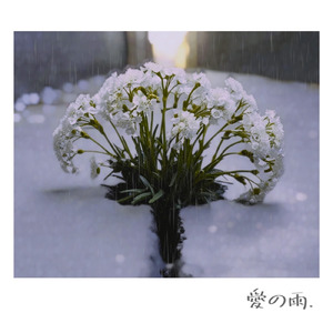 愛の雨