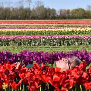 spring is coming ...