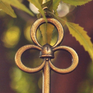 君とポップコーン