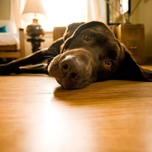 Dont You Close Your Eyes