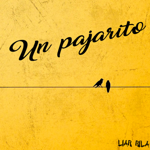 Un Pajarito