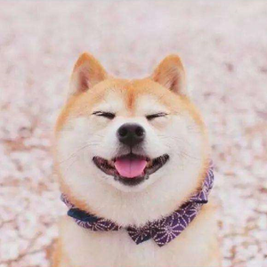 想你在零点零一分（Live）