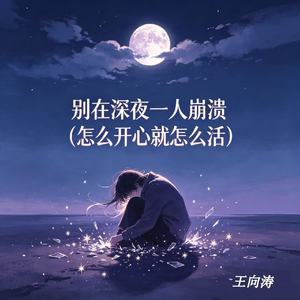 别在深夜一人崩溃（怎么开心就怎么活）