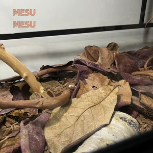 MESU MESU（feat.哈斯）