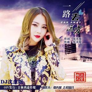 一路去远方_上官瑶儿_DJ沈念