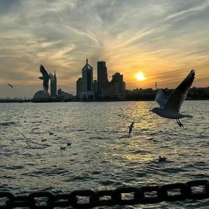 夏天的风(DJ弹鼓版)（邹某人 remix）