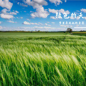 绿色的天