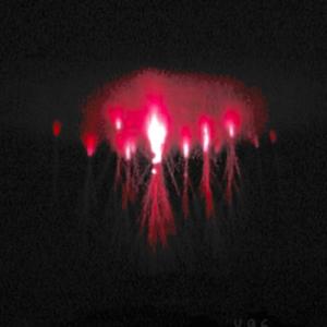 Bout It (feat. Kari Kira & LorWood)