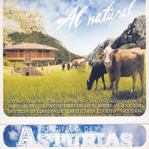 Carpinteru Faime Un Arca