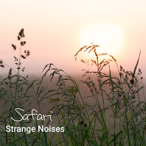 Botany (Instrumental)