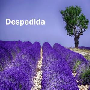 Despedida