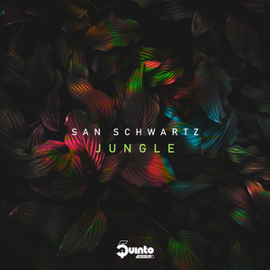 Jungle (Carlos Pires Remix)