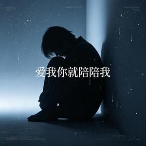 爱我你就陪陪我（抖音忧郁版）