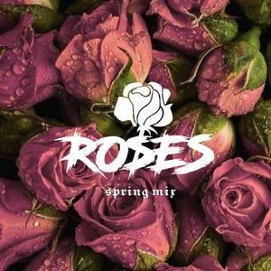 Don Diablo-RO$ES Future House Spring Mix（BAAZARmusic_ Remix）
