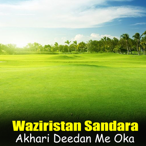 Wro Wro Kadamona Gda