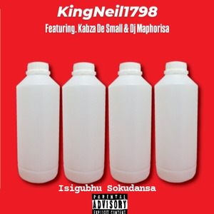 Isigubhu Sokudansa (Amapiano)