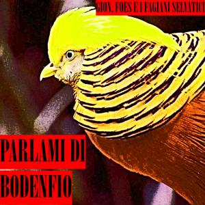 Parlami di Bodenfio