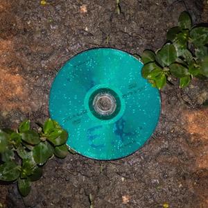 E.R. (feat. V.A.F., brace, notski & apparitions0010)