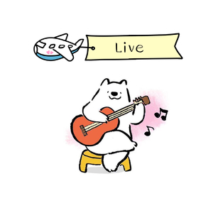 菲菲（live）