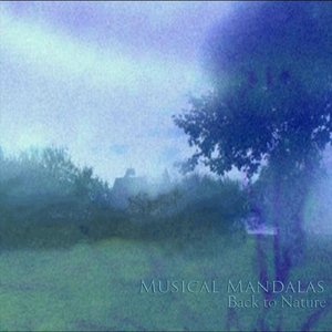 Soothing Rain and Chirping Katydids