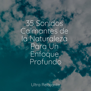 Perfección Después Del Anochecer