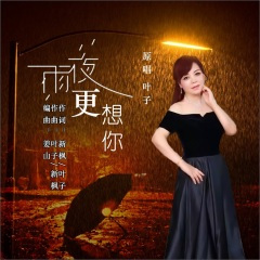 雨夜更想你 (DJ女版)