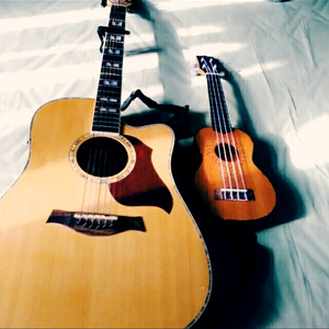 开满鲜花的世界