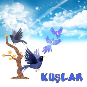 Kuşlar